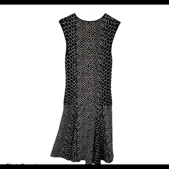 SAM EDELMAN Selby Jacquard Fit And Flare Dress - Picture 9 of 9